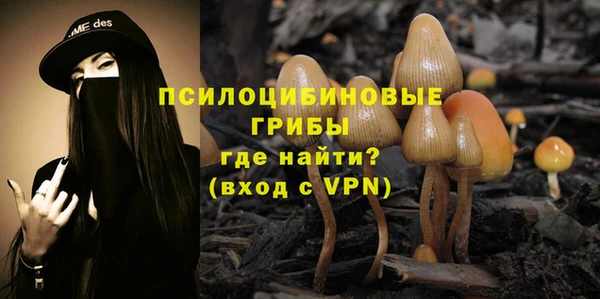 стафф Володарск