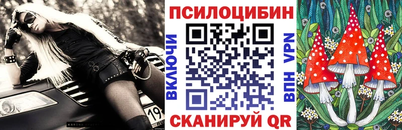 Псилоцибиновые грибы Psilocybe  Лукоянов 